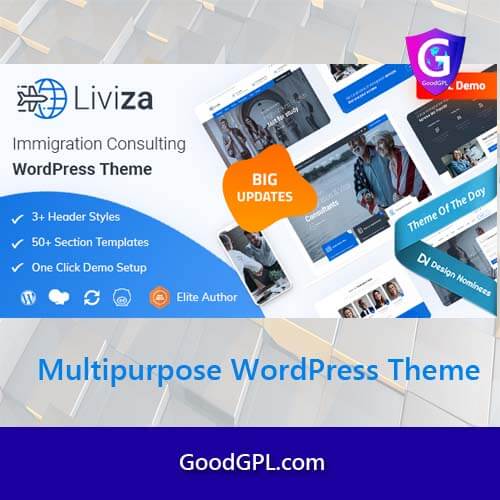Liviza WordPress Theme V3.1 GPL